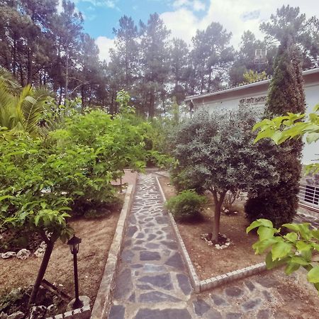 Bonita Casa En El Bosque - El Tiemblo Exterior foto