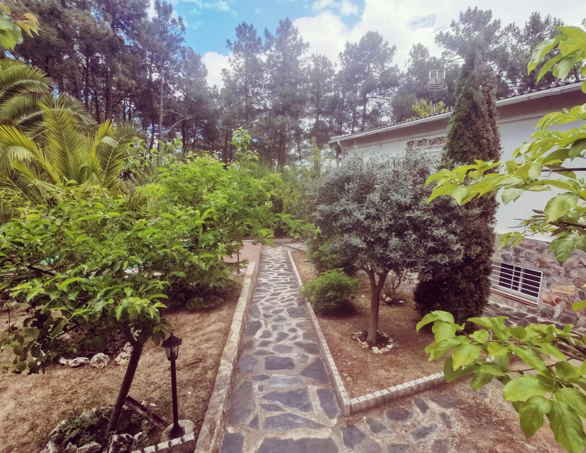 Bonita Casa En El Bosque - El Tiemblo Exterior foto